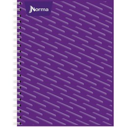 CUADERNO PROFESIONAL NORMA...