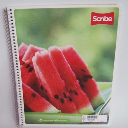 CUADERNO PROFESIONAL SCRIBE...