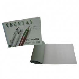 BLOCK VEGETAL CARTA 25H...