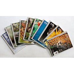 CUADERNO PROFESIONAL SCRIBE...