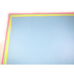 CARTULINA UNIBRISTOL 50X65...