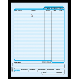 POLIZA DE INGRESOS CARTA...