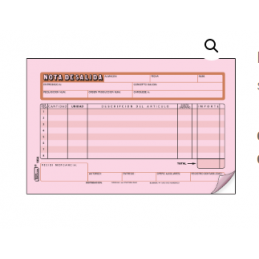 NOTA DE SALIDA DUPPLICADO...