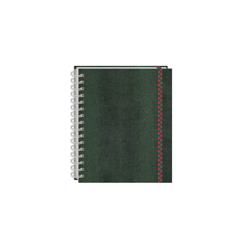 Imagen de Referencia.