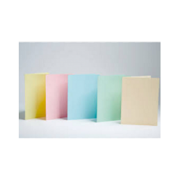 FOLDER DE CARTULINA TAMAÑO...