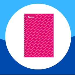 CUADERNO PROFESIONAL NORMA...