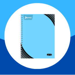CUADERNO PROFESIONAL NORMA...