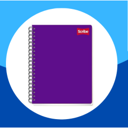 CUADERNO PROFESIONAL RAYADO...
