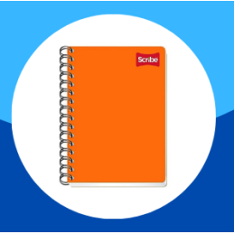 CUADERNO FRANCES SCRIBE...
