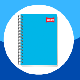 CUADERNO FRANCES SCRIBE...