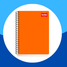 CUADERNO PROFESIONAL RAYA...