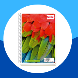 CUADERNO PROFESIONAL SCRIBE...