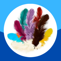PLUMA DE AVE COLORES