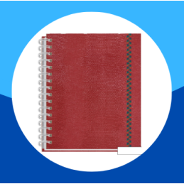 CUADERNO FRANCES ESPIRAL...