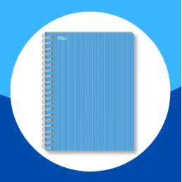 CUADERNO PROFESIONAL...